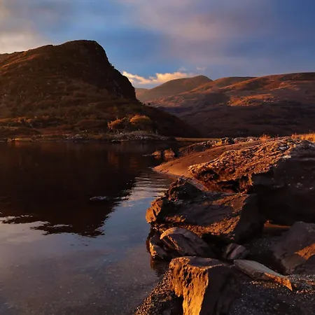 Royal Townhouse 4* 킬라니